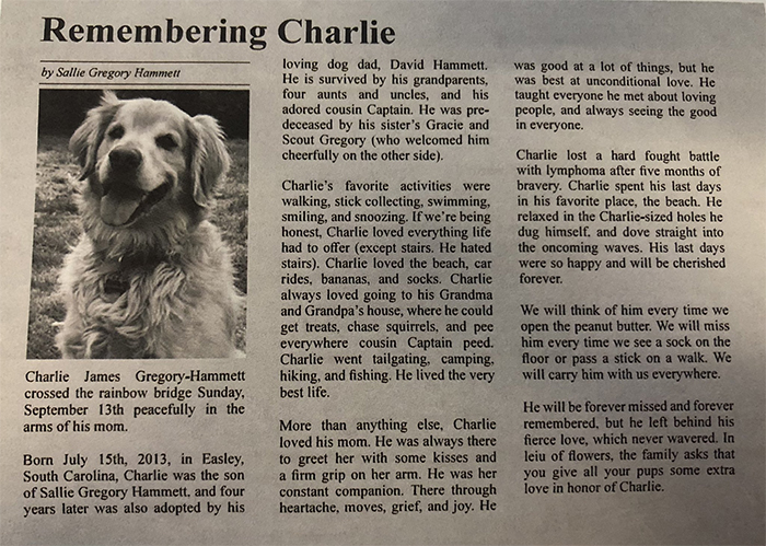 'He Was Best At Unconditional Love': Over 115k People Are In Tears Over This Woman's Touching Obituary For Her Beloved Dog 'He Was Best At Unconditional Love': Over 115k People Are In Tears Over This Woman's Touching Obituary For Her Beloved Dog