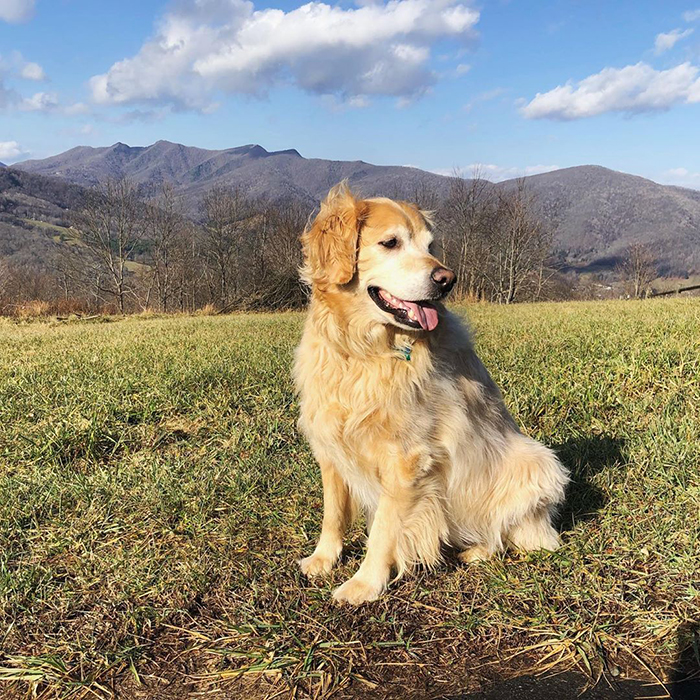 'He Was Best At Unconditional Love': Over 115k People Are In Tears Over This Woman's Touching Obituary For Her Beloved Dog 'He Was Best At Unconditional Love': Over 115k People Are In Tears Over This Woman's Touching Obituary For Her Beloved Dog
