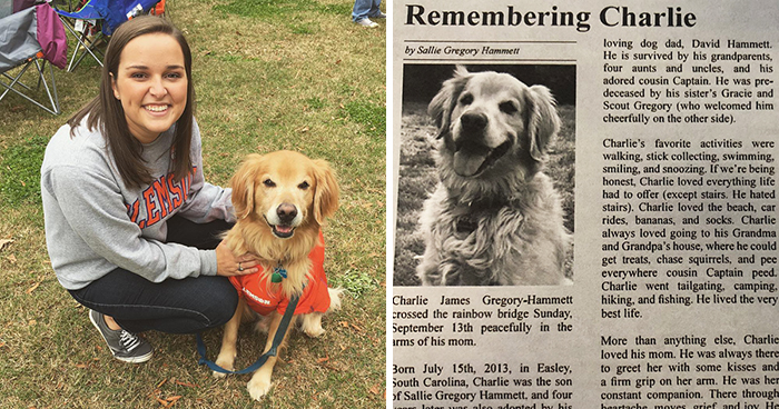 ‘He Was Best At Unconditional Love’: Over 115k People Are In Tears Over This Woman’s Touching Obituary For Her Beloved Dog