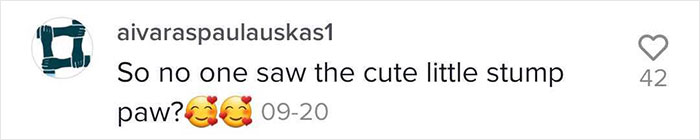 Videos Of Owner Showing Dogs A Photo And Them 'Recreating It' Go Viral Videos Of Owner Showing Dogs A Photo And Them 'Recreating It' Go Viral