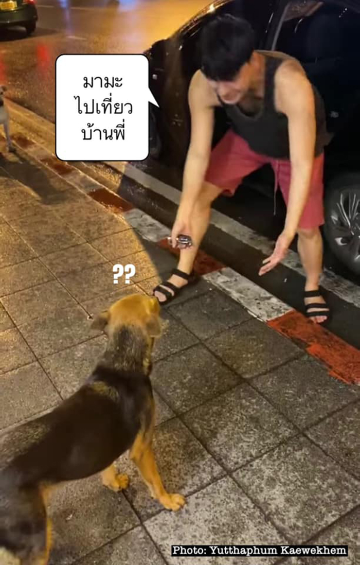 Hungover Guy Wakes Up With A Strange Dog In His Bed, Learns He Adopted Her Last Night Hungover Guy Wakes Up With A Strange Dog In His Bed, Learns He Adopted Her Last Night