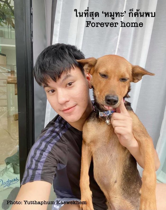 Hungover Guy Wakes Up With A Strange Dog In His Bed, Learns He Adopted Her Last Night