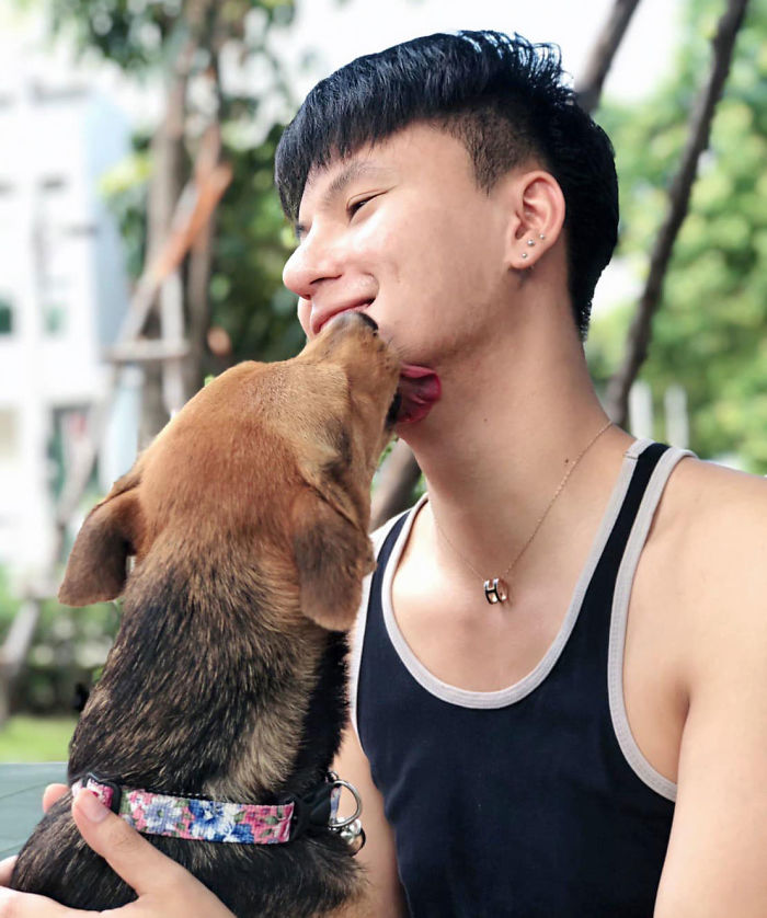 Hungover Guy Wakes Up With A Strange Dog In His Bed, Learns He Adopted Her Last Night