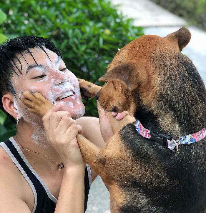 Hungover Guy Wakes Up With A Strange Dog In His Bed, Learns He Adopted Her Last Night