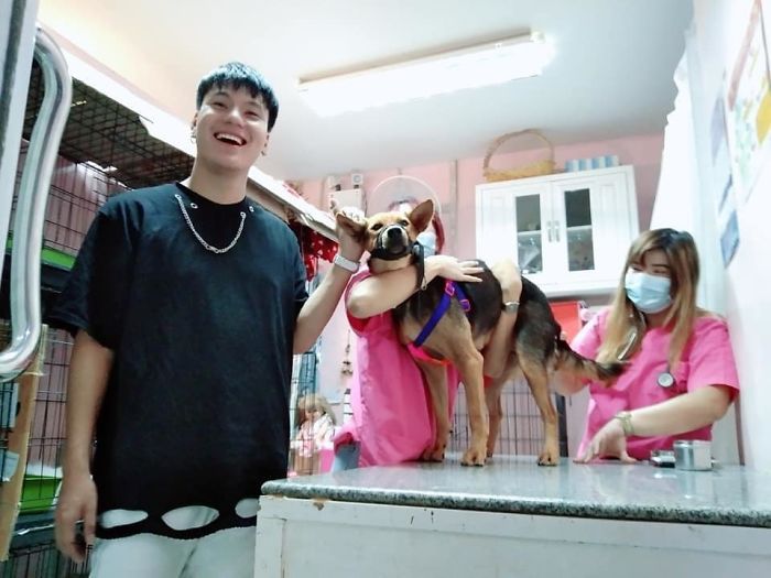 Hungover Guy Wakes Up With A Strange Dog In His Bed, Learns He Adopted Her Last Night Hungover Guy Wakes Up With A Strange Dog In His Bed, Learns He Adopted Her Last Night