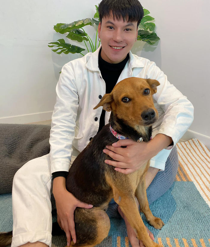 Hungover Guy Wakes Up With A Strange Dog In His Bed, Learns He Adopted Her Last Night Hungover Guy Wakes Up With A Strange Dog In His Bed, Learns He Adopted Her Last Night