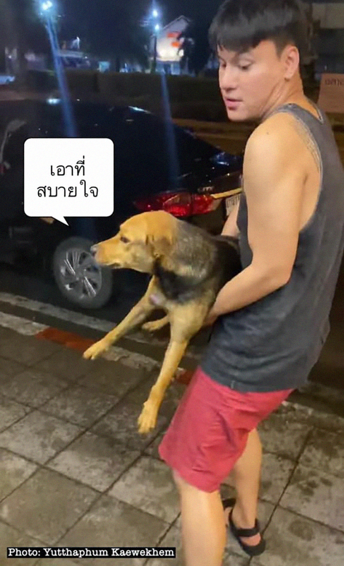 Hungover Guy Wakes Up With A Strange Dog In His Bed, Learns He Adopted Her Last Night