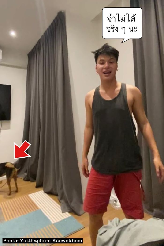 Hungover Guy Wakes Up With A Strange Dog In His Bed, Learns He Adopted Her Last Night