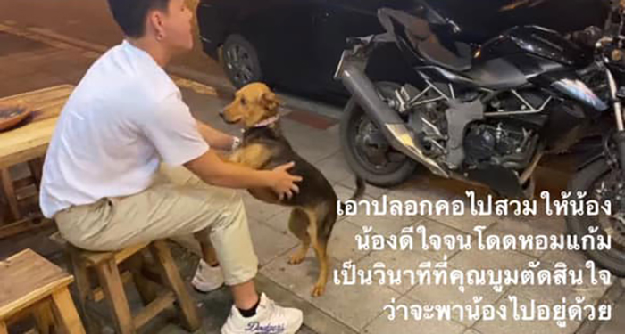 Hungover Guy Wakes Up With A Strange Dog In His Bed, Learns He Adopted Her Last Night Hungover Guy Wakes Up With A Strange Dog In His Bed, Learns He Adopted Her Last Night