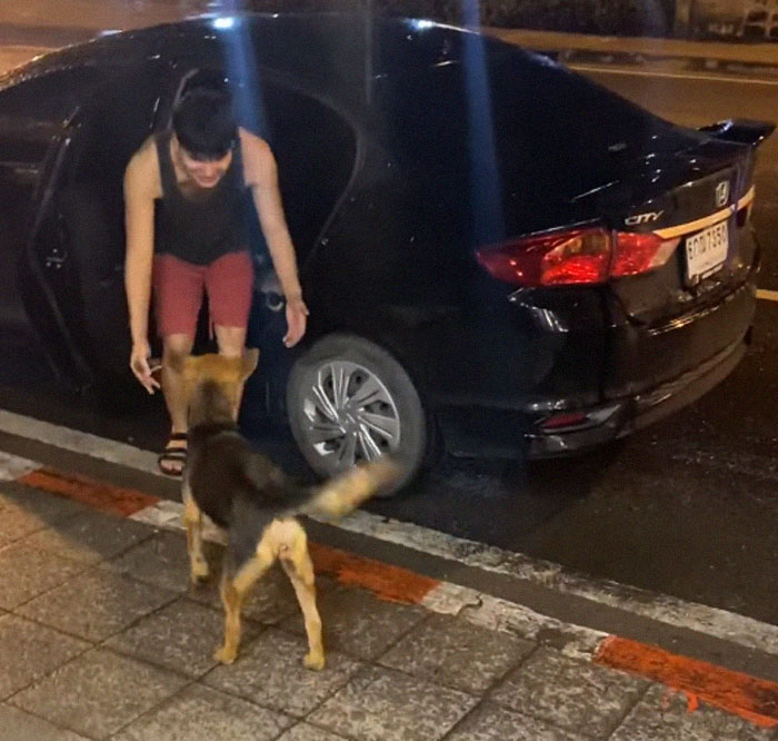 Hungover Guy Wakes Up With A Strange Dog In His Bed, Learns He Adopted Her Last Night