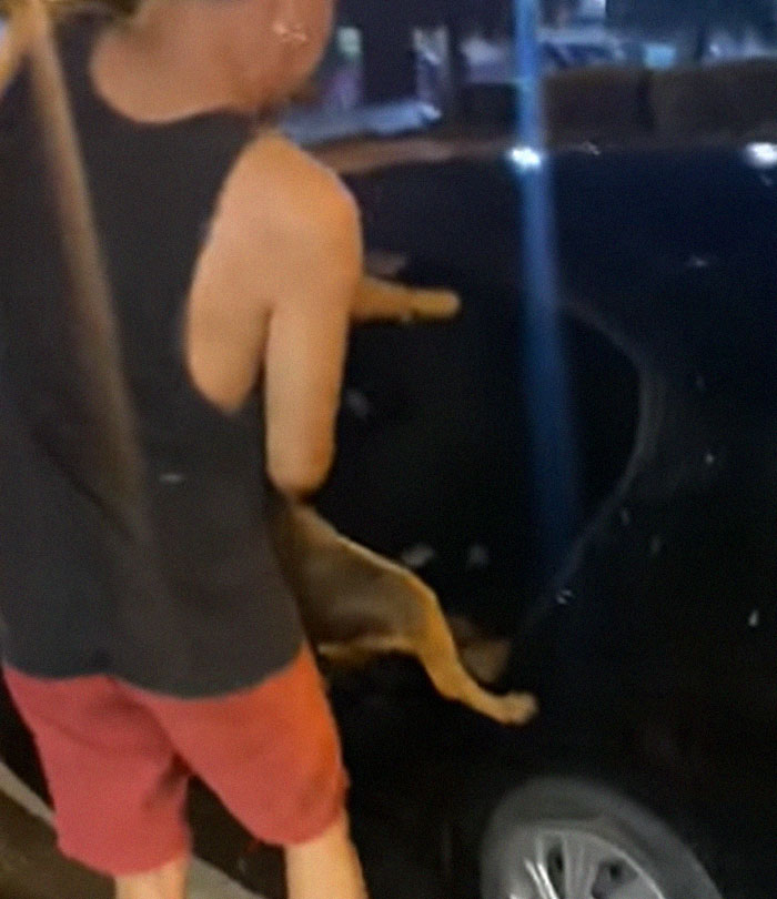 Hungover Guy Wakes Up With A Strange Dog In His Bed, Learns He Adopted Her Last Night