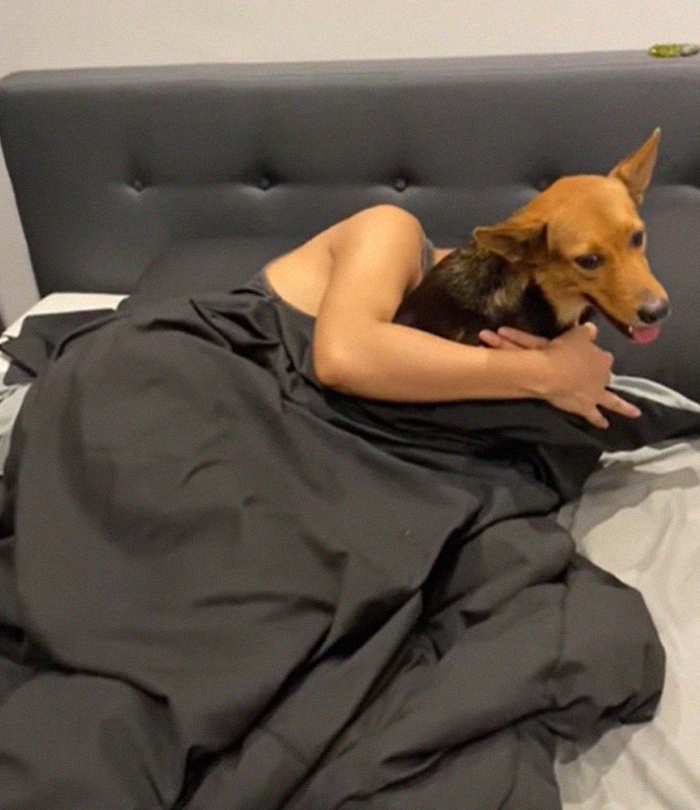 Hungover Guy Wakes Up With A Strange Dog In His Bed, Learns He Adopted Her Last Night