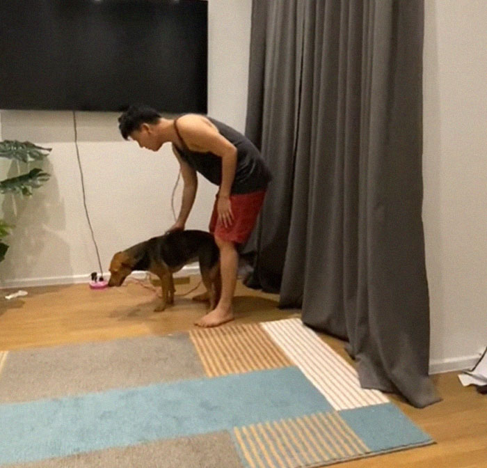 Hungover Guy Wakes Up With A Strange Dog In His Bed, Learns He Adopted Her Last Night Hungover Guy Wakes Up With A Strange Dog In His Bed, Learns He Adopted Her Last Night