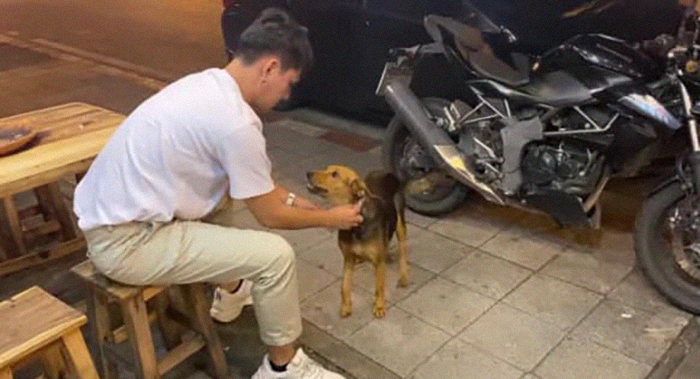 Hungover Guy Wakes Up With A Strange Dog In His Bed, Learns He Adopted Her Last Night