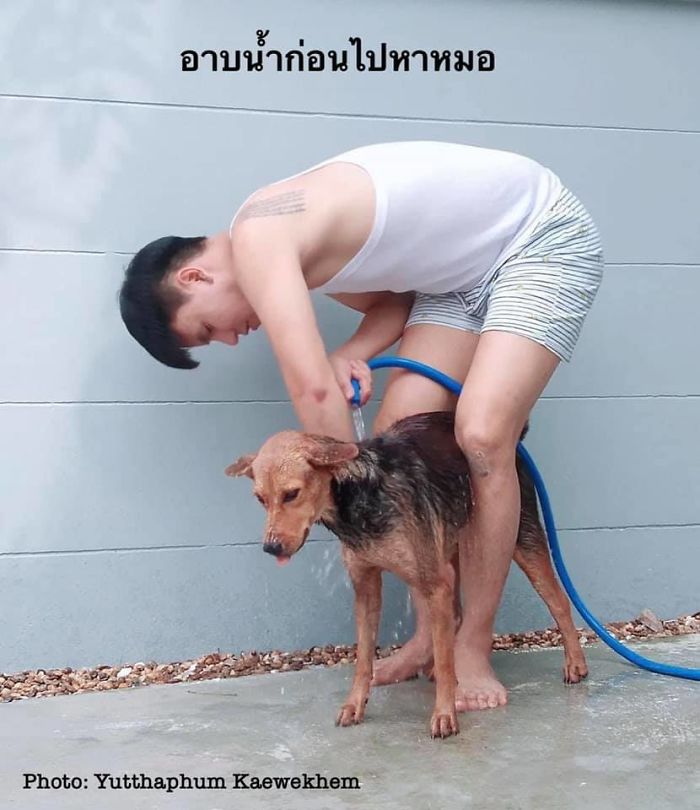 Hungover Guy Wakes Up With A Strange Dog In His Bed, Learns He Adopted Her Last Night