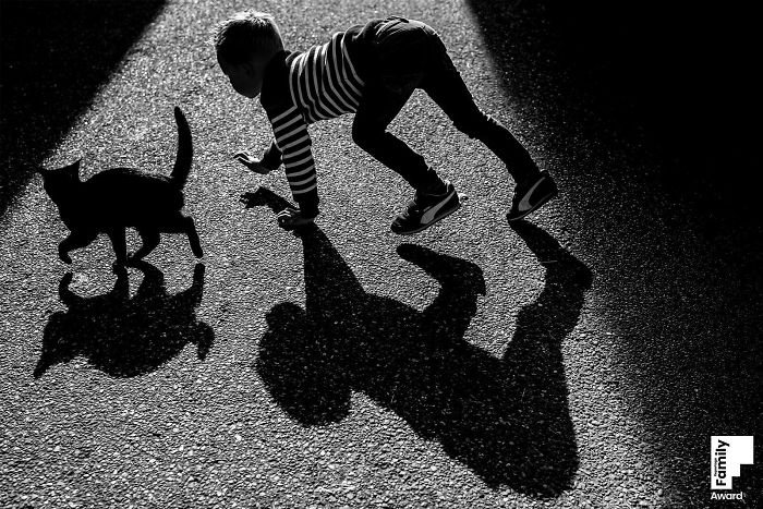 Child crawling alongside a cat casting shadows on the ground, showcasing the art of capturing a family moment in photography.