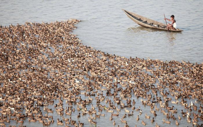 50 Facts From An Online Group Where People Post The Most Interesting Things They Learn And That Has 23 Million Members