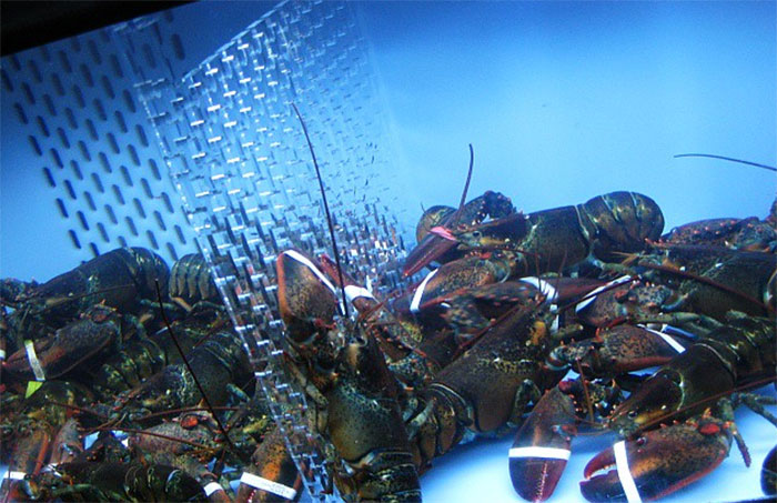 52 Times People Witnessed Their New Co-Worker Getting Fired So Fast, They Shared It Online