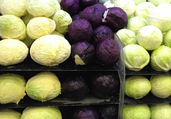 52 Times People Witnessed Their New Co-Worker Getting Fired So Fast, They Shared It Online