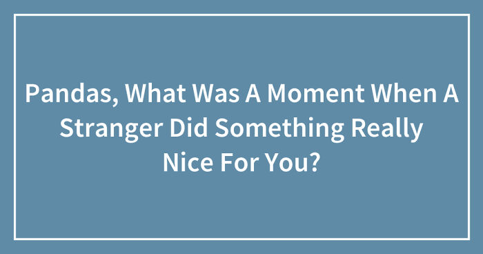 Pandas, What Was A Moment When A Stranger Did Something Really Nice For You? (Ended)