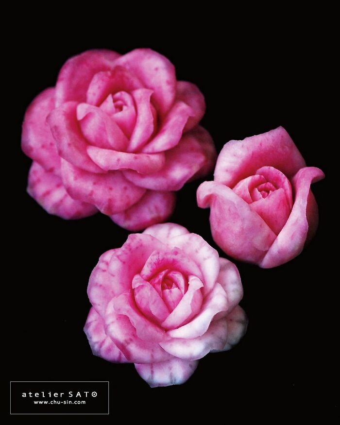 Fruit-Carving-Art-Tomoko-Sato