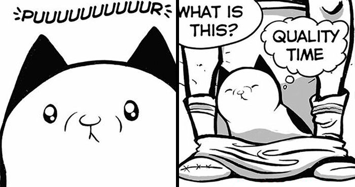 30 Funny Comics About The Reality Of Living With A Cat (New Pics)