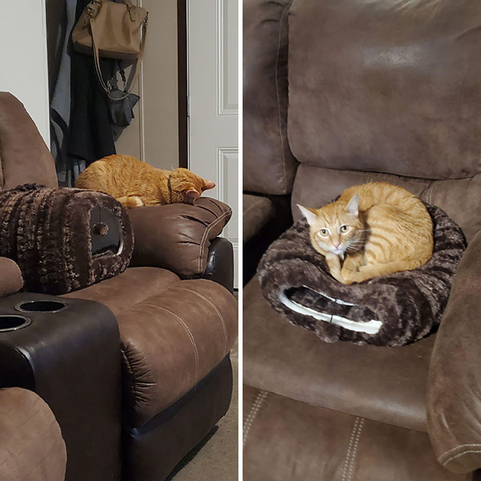 So Glad I Spent Money Just So He Can Use It Wrong