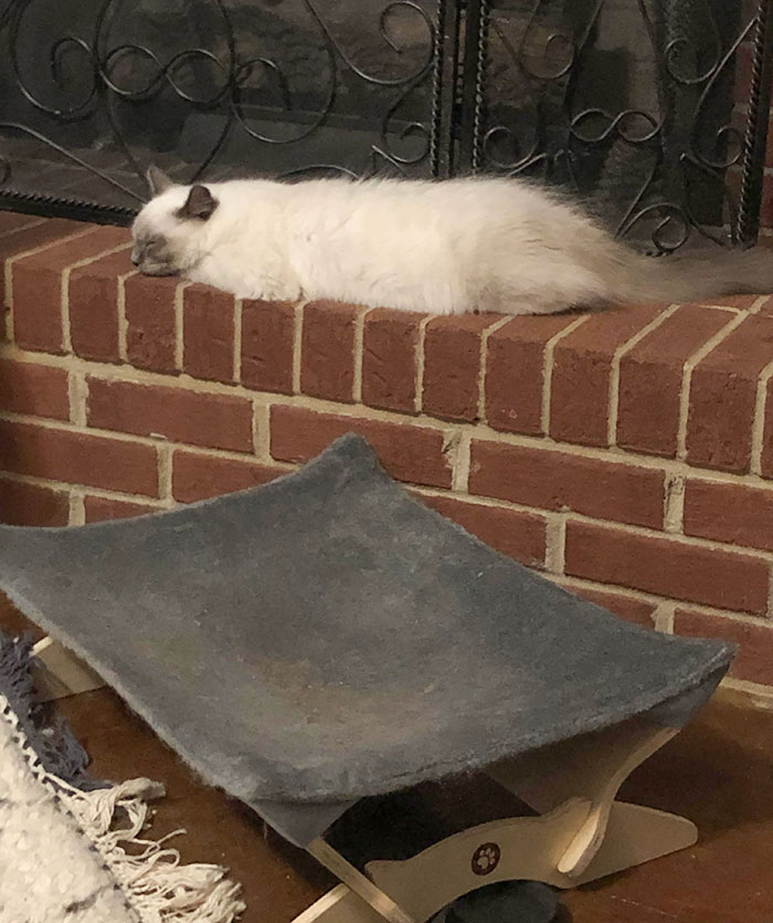 With All The Beds, Including The One Below Him, He Sleeps On The Bricks