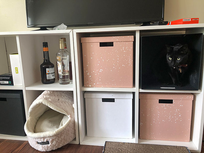 Why Sit In The Cube That Has A Bed - That Would Make Too Much Sense