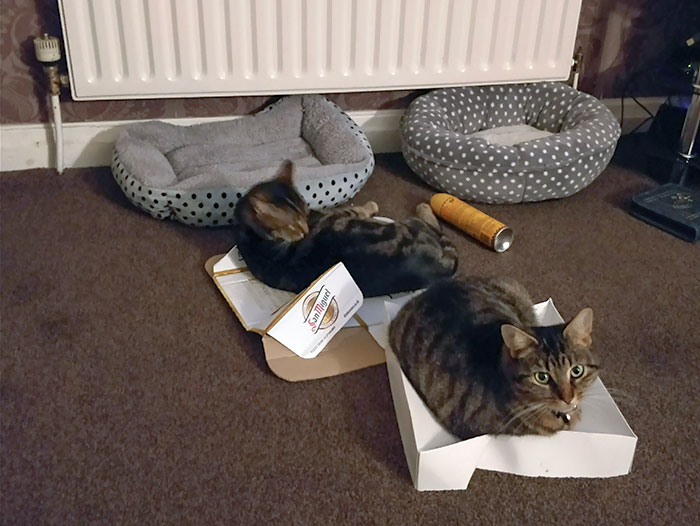 Glad We Spent Money On New Beds