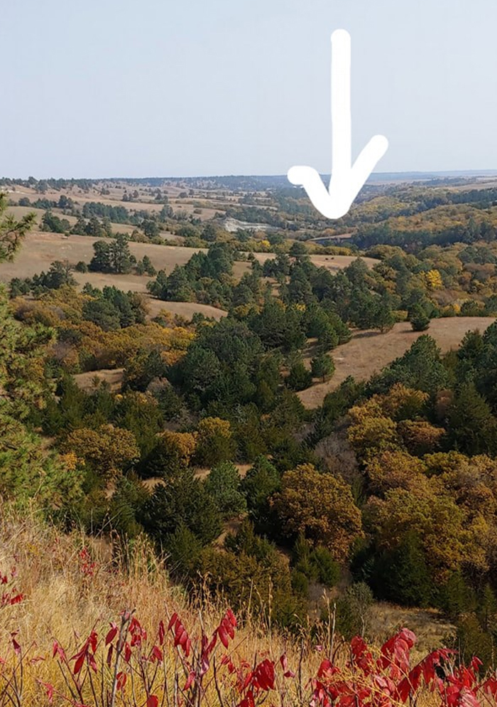 Pair Of Bison From The Overlook Ft Niobrara Wildlife Refuge, Amazing Creatures!