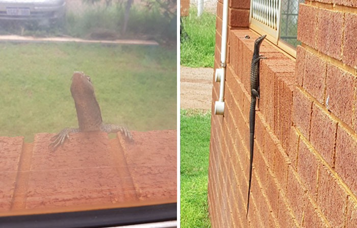 So This Guy Was Stalking Me At Work One Day