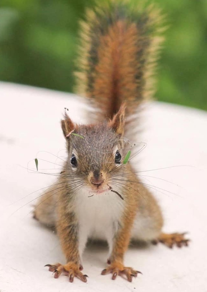 Ummmm, You Seem To Have A Little Something On Your Face... (Crappy, Cause It’s Got Some Crap On It’s Face