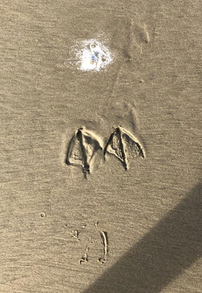 My Teenaged Son Went To The Coast. I Asked To See The Pictures He Took, And This Was Literally It