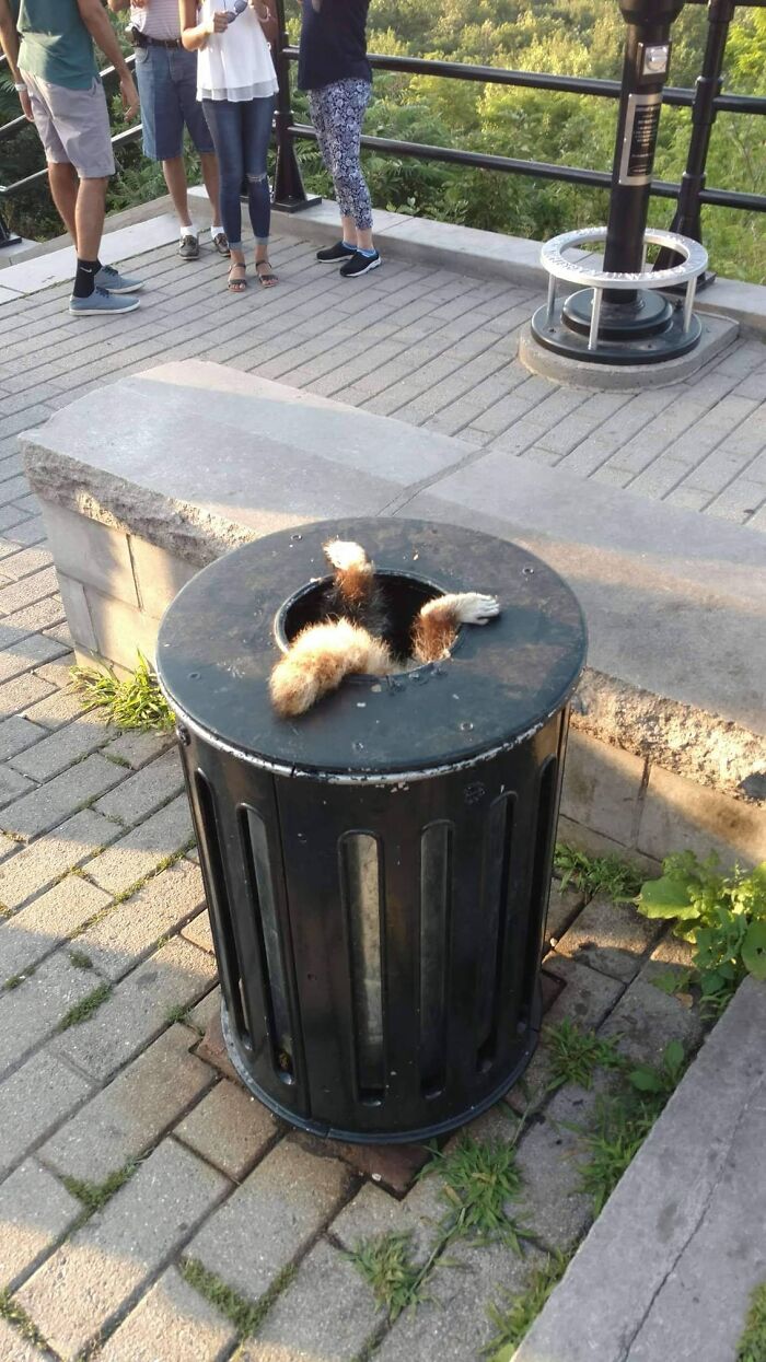 Hold My Beer, I Am Going In...