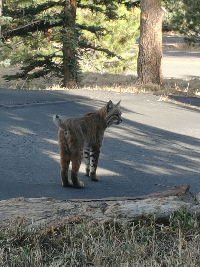I'm A Crappy Photographer, But This One I Had To Share. Evergreen Co.