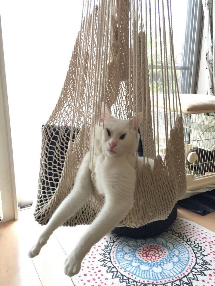 Ui Design vs. User Experience