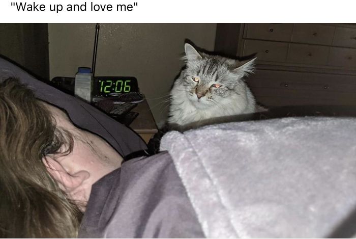 Time To Sprint Around The House.