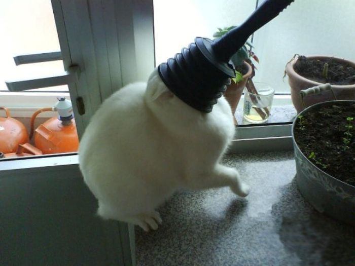 "I Just Wondered What Was There."