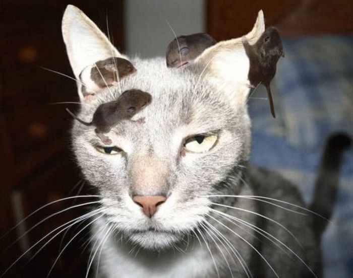 It Was The Worst Day Of His Life