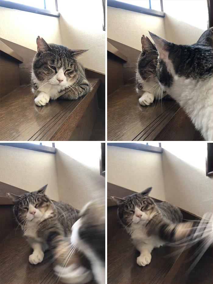 Me: "Why Does Nobody Love Me?" Also Me When Someone Approaches Me: