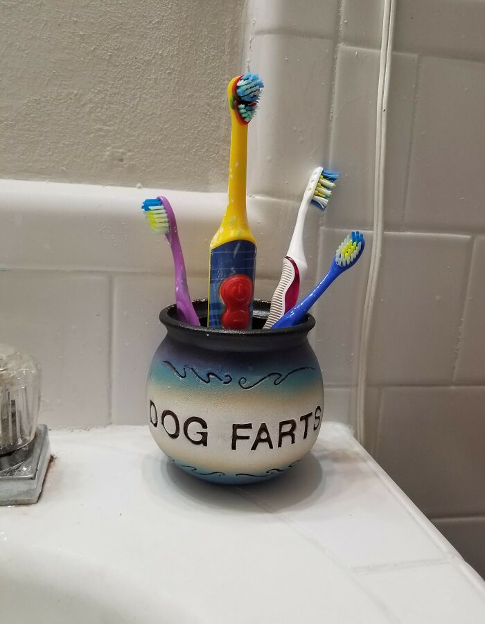 My Husband And I Like To Find Weird Things And Then Leave Them To Be Found At Other People's Houses. Found At Goodwill In Lumberton Tx. Left At My Brother In Laws During A Birthday Party For My Nephew