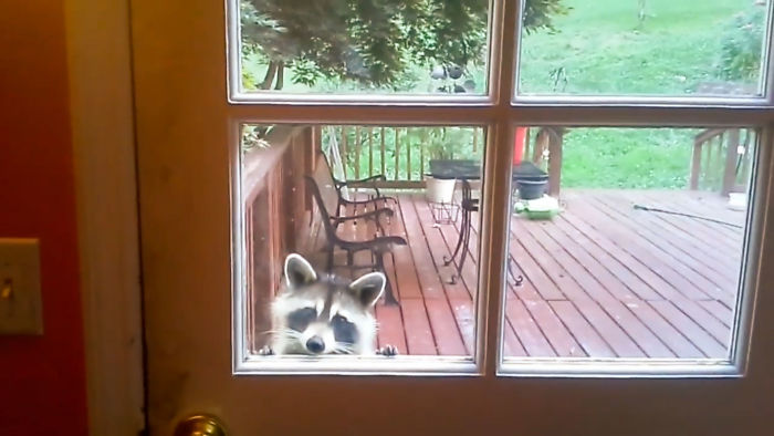 When You Put A Lock On Your Trash Cans