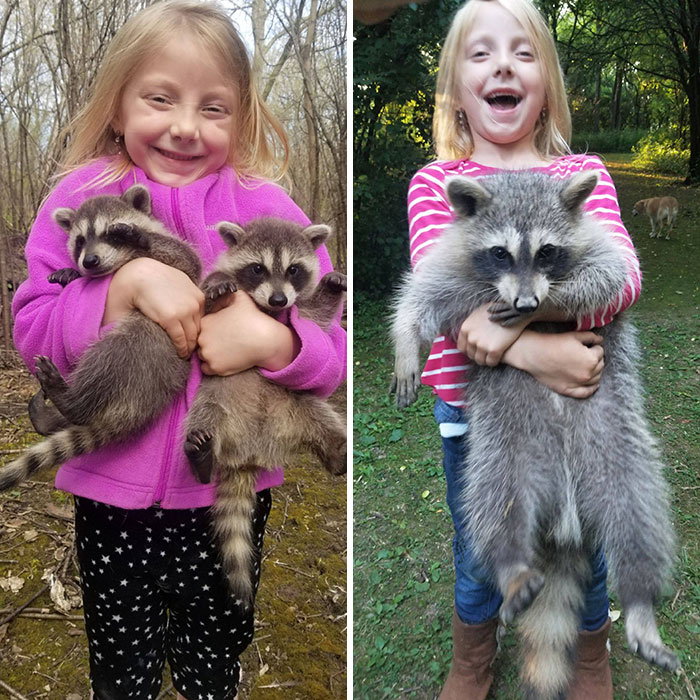 The Other One Is Still Here, Just Too Heavy For My Daughter To Pick Them Up At Once Now