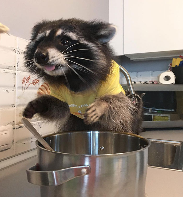 I Cook Some Soup For Lunch