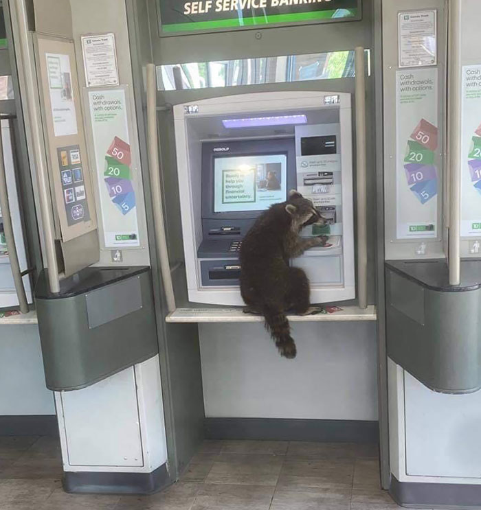 First, They Wanted Our Garbage, Now They Want To Participate In Our Financial System