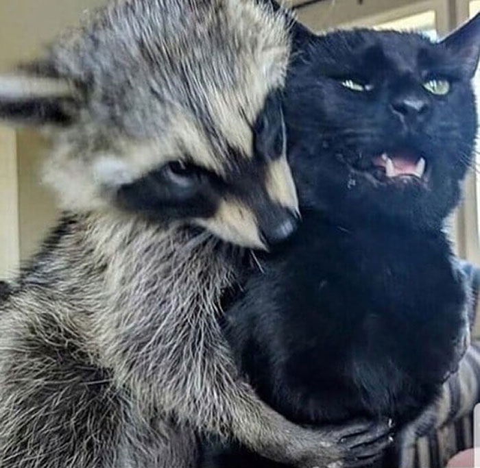 There's Never A Warning. Just Happens