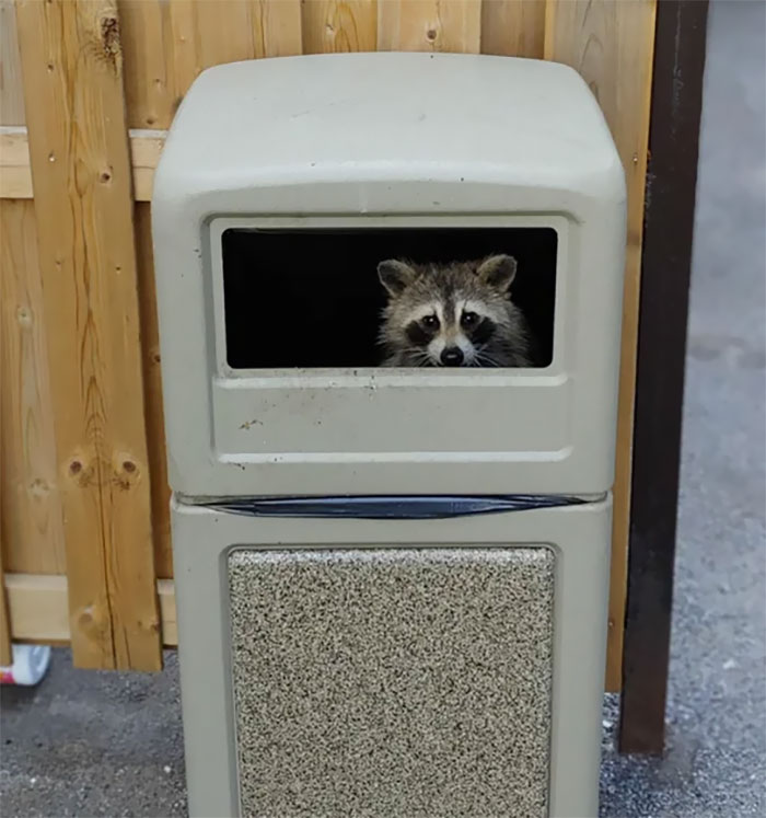 Spotted This Little Guy Having A Feast