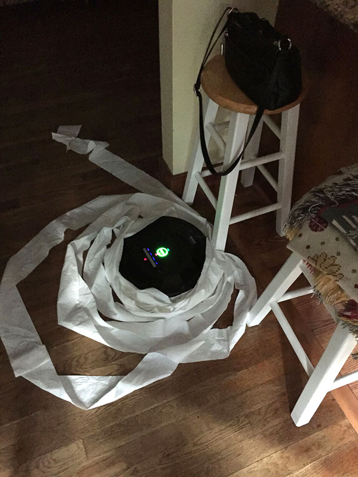 Mischievous Roomba This Morning