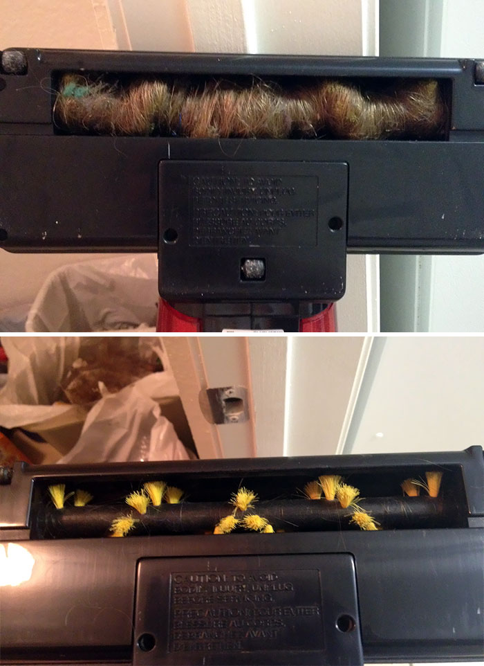 I Live With Five Other Girls. This Is What Happens Every Time I Vacuum The Apartment